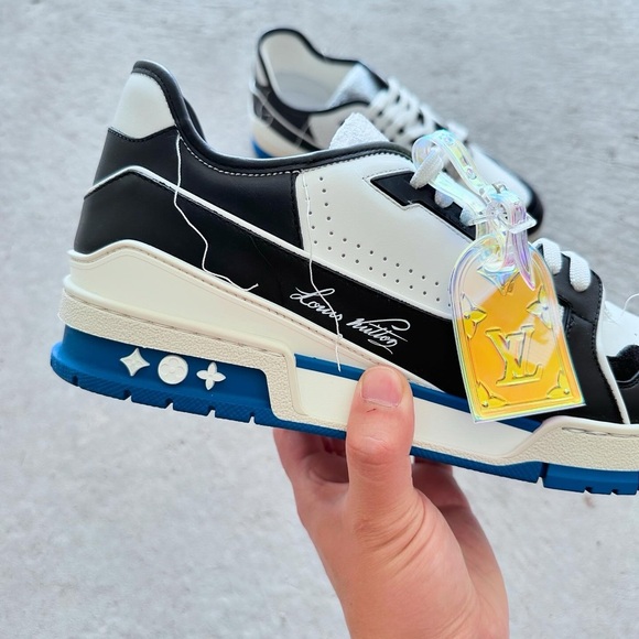 Louis Vuitton Trainer Low Sneakers - Hiroshi Fujiwara Colorway - Picture 3 of 14